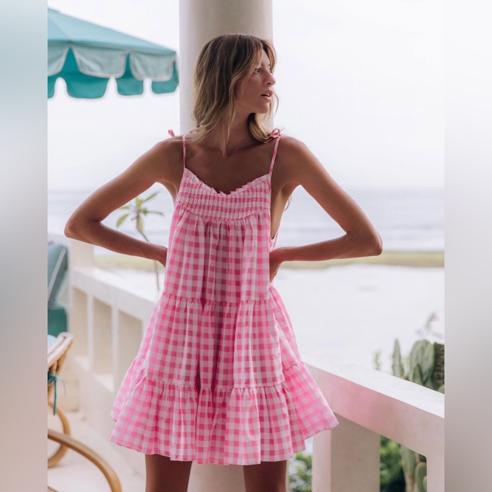 NWT Steele Alfie Dress in Bubblegum Check Size M